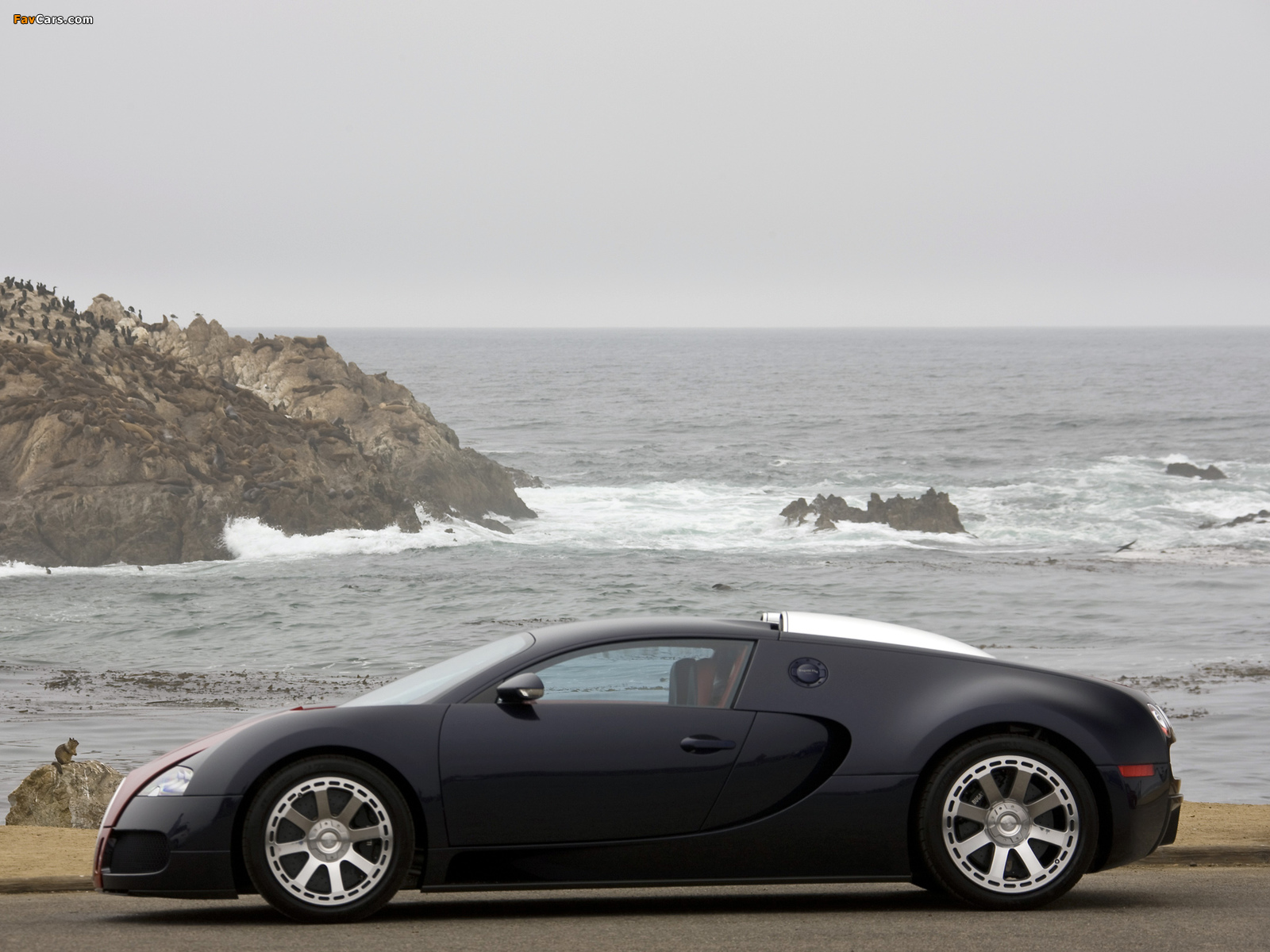 Bugatti Veyron Fbg Par Hermes 2008 pictures (1600 x 1200)