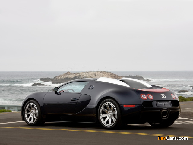 Bugatti Veyron Fbg Par Hermes 2008 pictures (640 x 480)