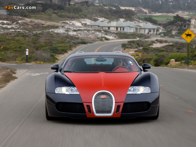 Bugatti Veyron Fbg Par Hermes 2008 pictures (640 x 480)