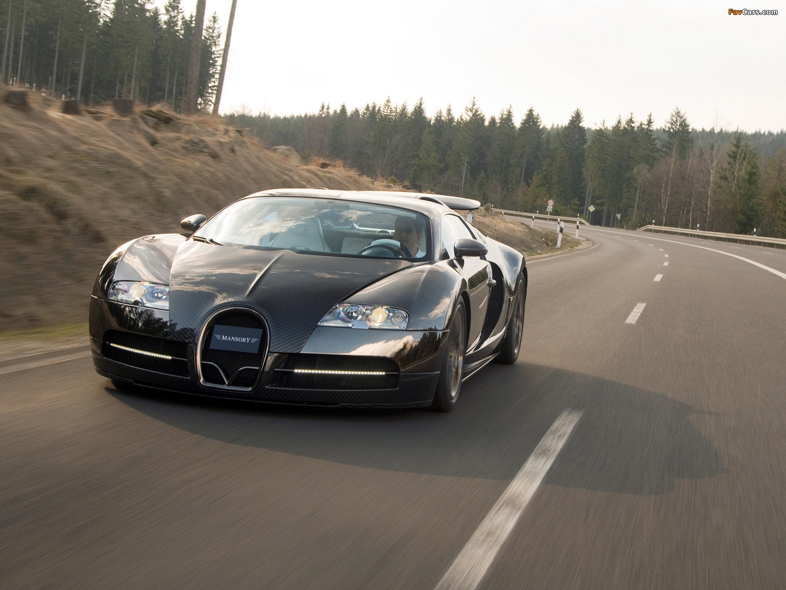 Mansory Bugatti Veyron Linea Vincero 2009 photos (1600 x 1200)