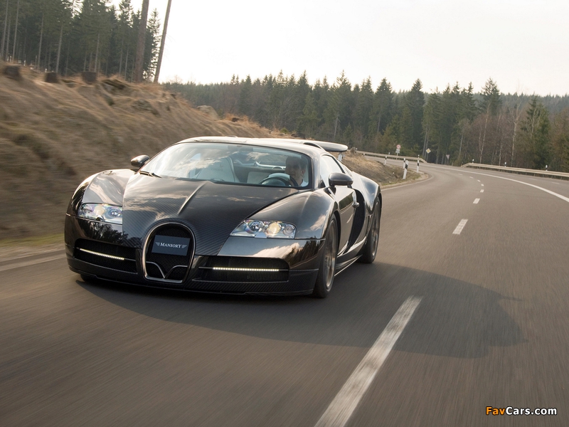 Mansory Bugatti Veyron Linea Vincero 2009 photos (800 x 600)