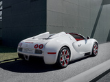 Bugatti Veyron Grand Sport Wei Long 2012 wallpapers