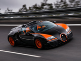 Bugatti Veyron Grand Sport Roadster Vitesse WRC Edition 2013 pictures