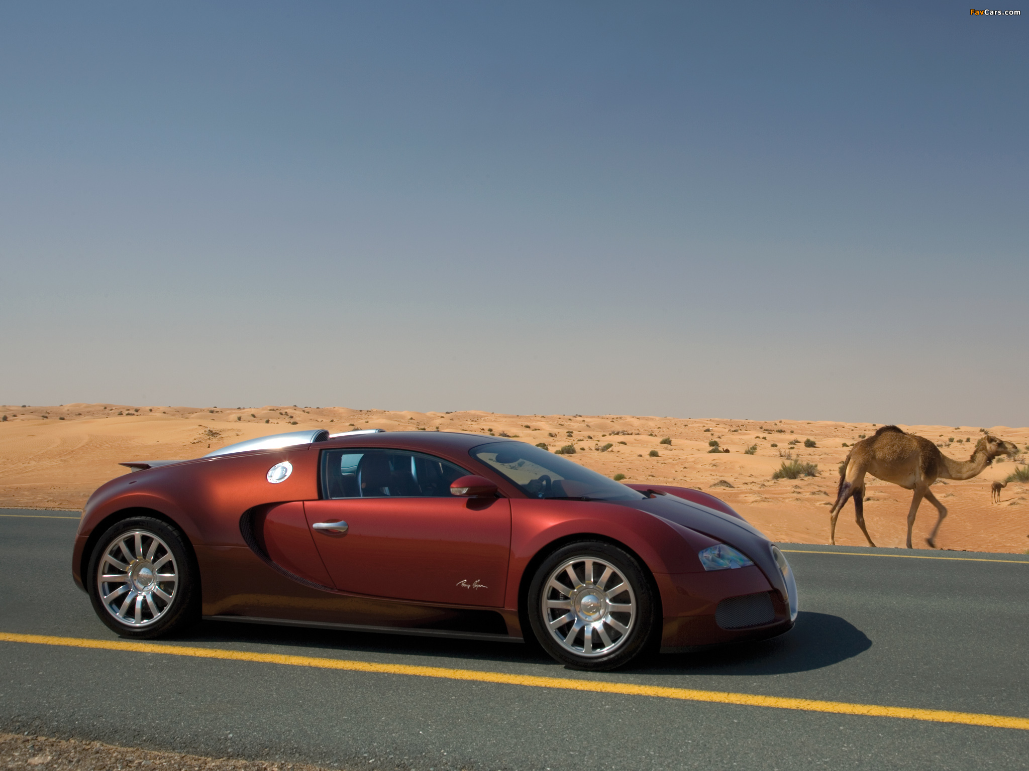 Images of Bugatti Veyron 2005–11 (2048 x 1536)