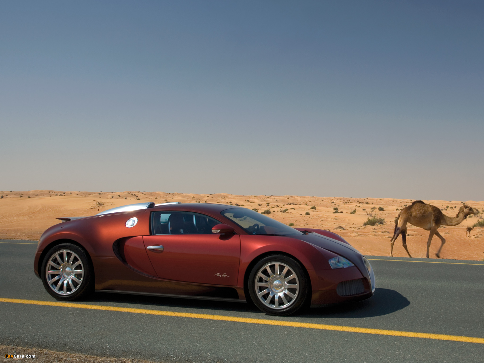 Images of Bugatti Veyron 2005–11 (1600 x 1200)