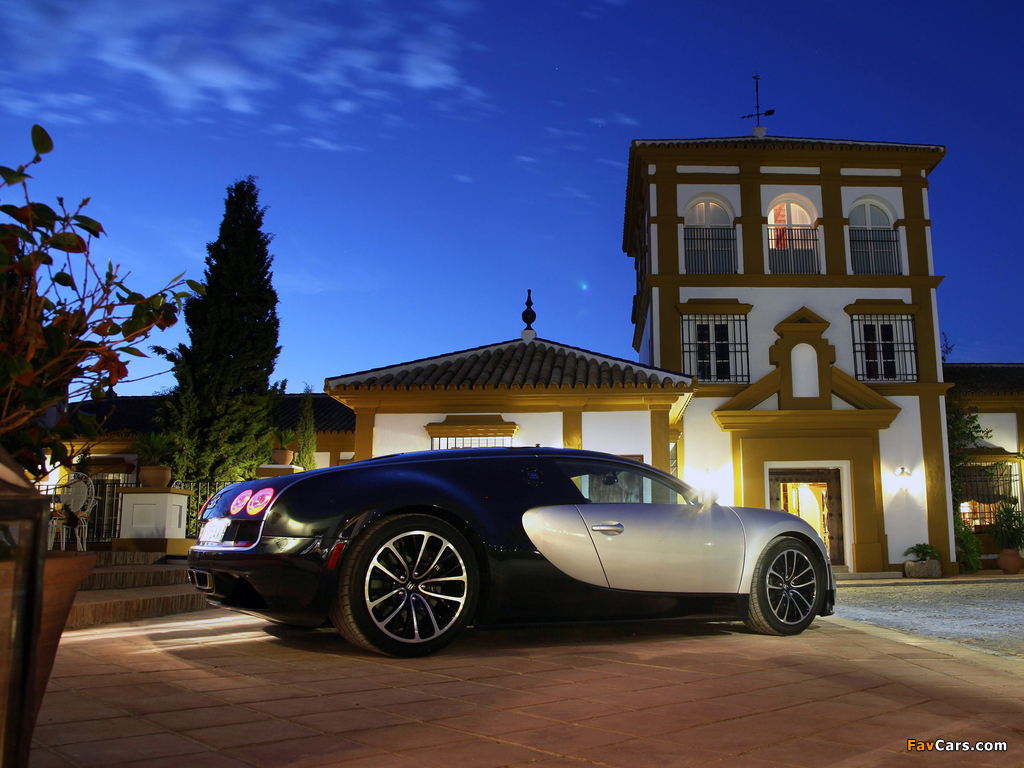 Images of Bugatti Veyron 16.4 Super Sport 2010 (1024 x 768)