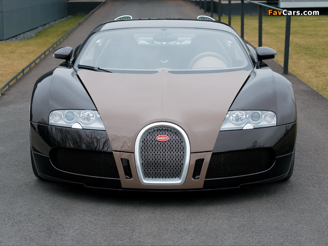 Photos of Bugatti Veyron Fbg Par Hermes 2008 (640 x 480)