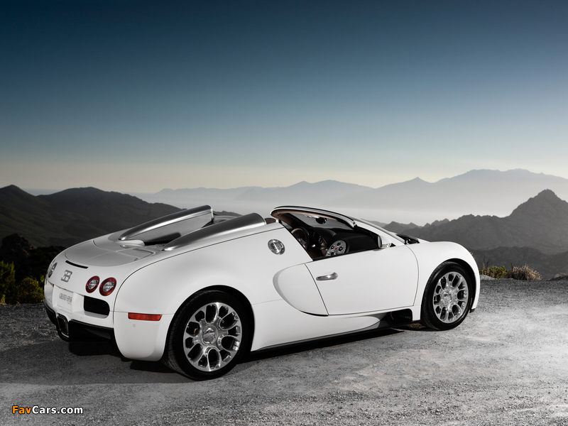 Photos of Bugatti Veyron Grand Sport Roadster 2008 (800 x 600)