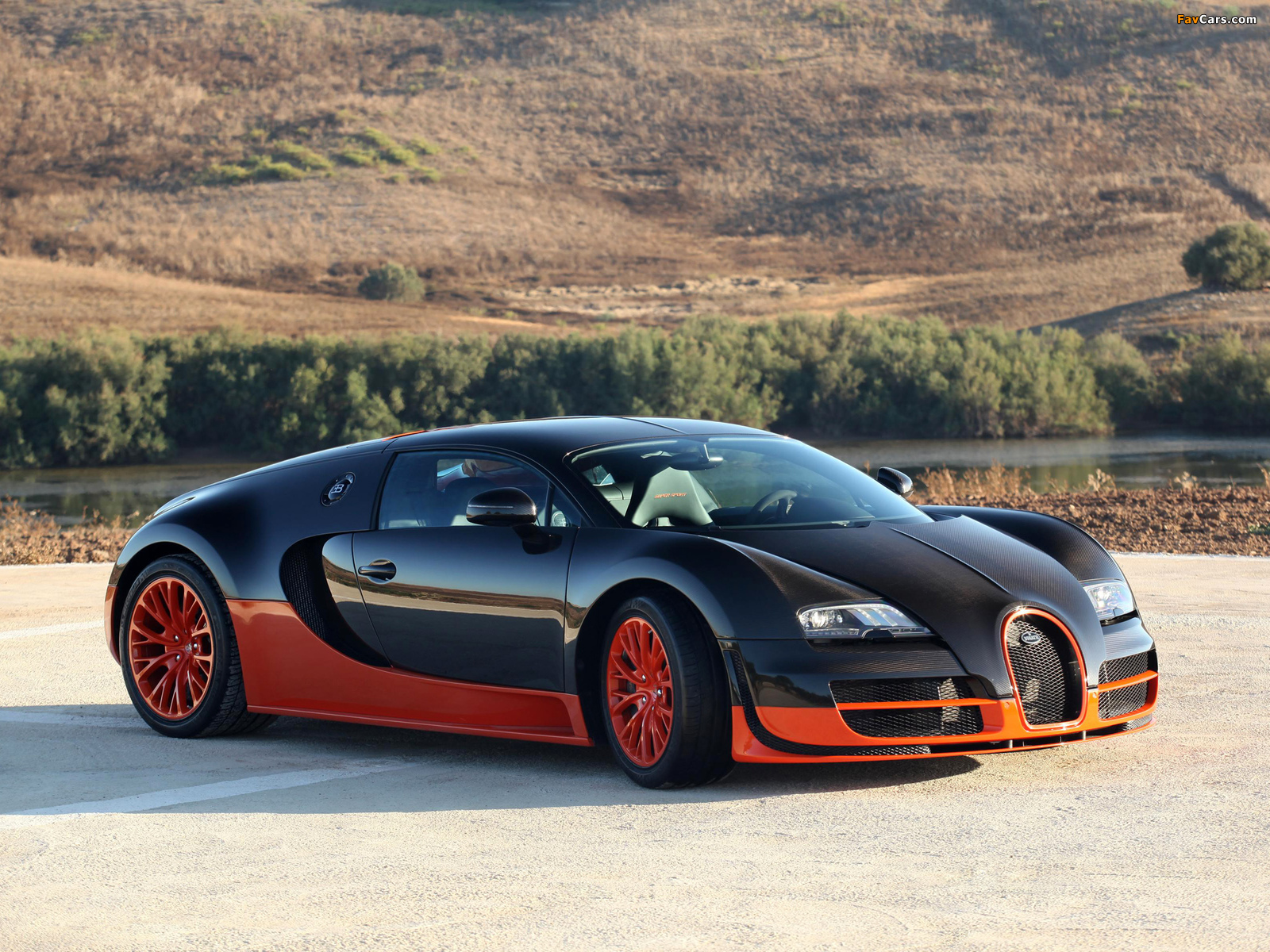 Photos of Bugatti Veyron 16.4 Super Sport 2010 (1600 x 1200)