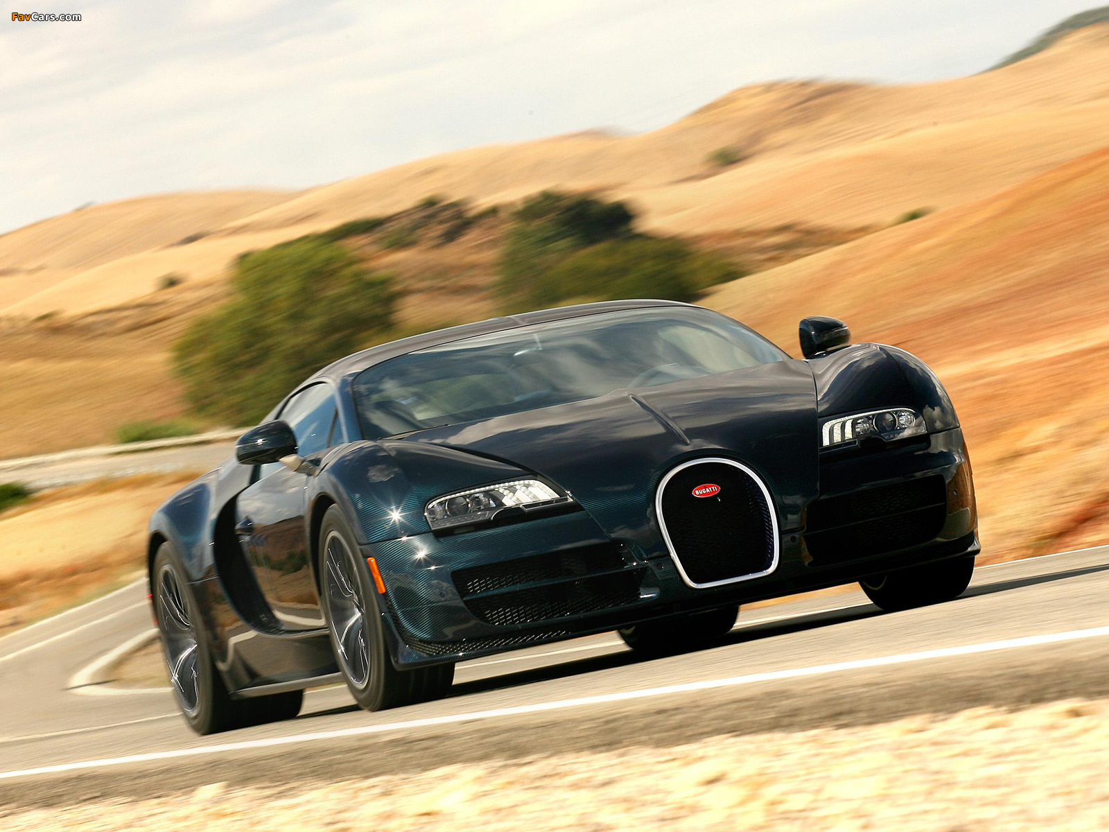 Photos of Bugatti Veyron 16.4 Super Sport US-spec 2010 (1600 x 1200)