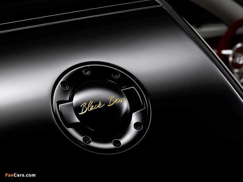 Photos of Bugatti Veyron Grand Sport Roadster Vitesse Black Bess 2014 (800 x 600)