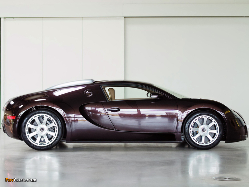 Pictures of Bugatti Veyron Fbg Par Hermes 2008 (800 x 600)