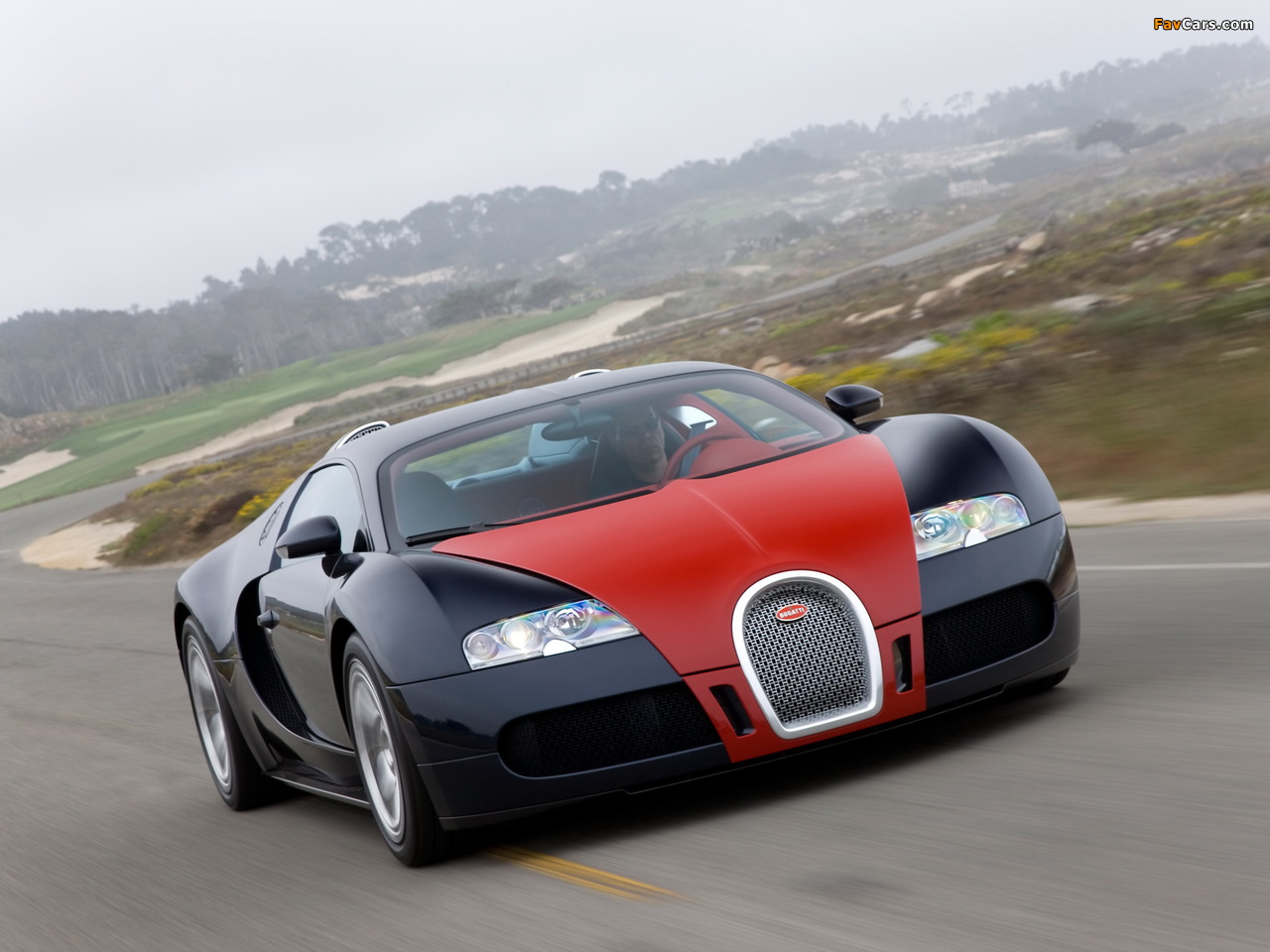 Pictures of Bugatti Veyron Fbg Par Hermes 2008 (1280 x 960)