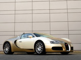 Pictures of Bugatti Veyron Gold Edition 2009