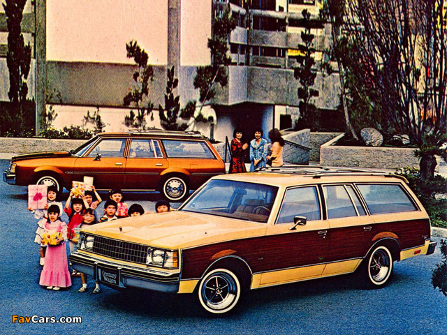 Buick Century Estate Wagon 1979 photos (640 x 480)