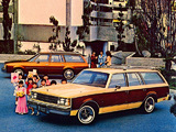 Buick Century Estate Wagon 1979 photos