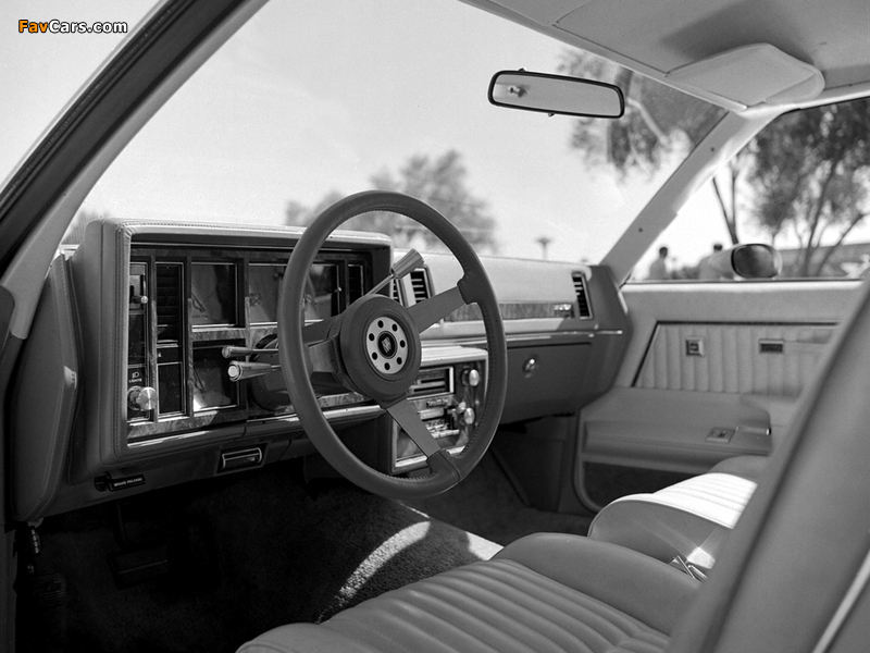 Buick Century Turbo Coupe 1979–80 photos (800 x 600)