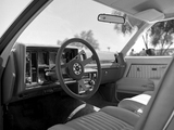 Buick Century Turbo Coupe 1979–80 photos