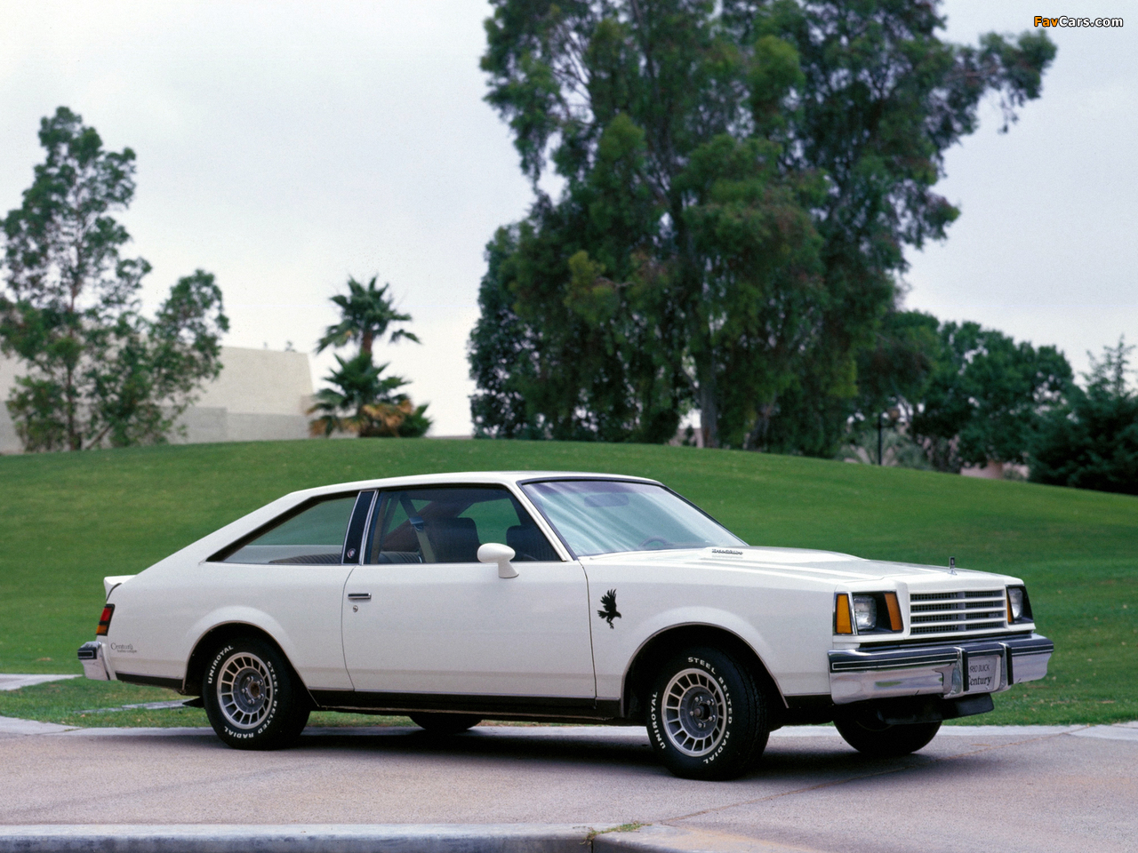 Images of Buick Century Turbo Coupe 1979–80 (1280 x 960)