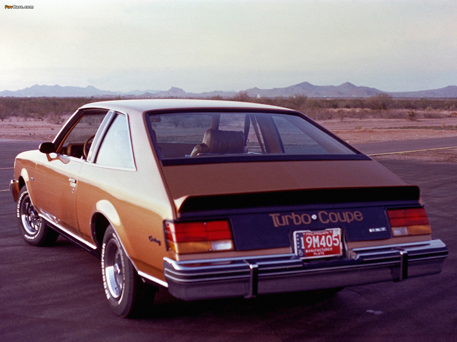 Photos of Buick Century Turbo Coupe 1979–80 (1600 x 1200)