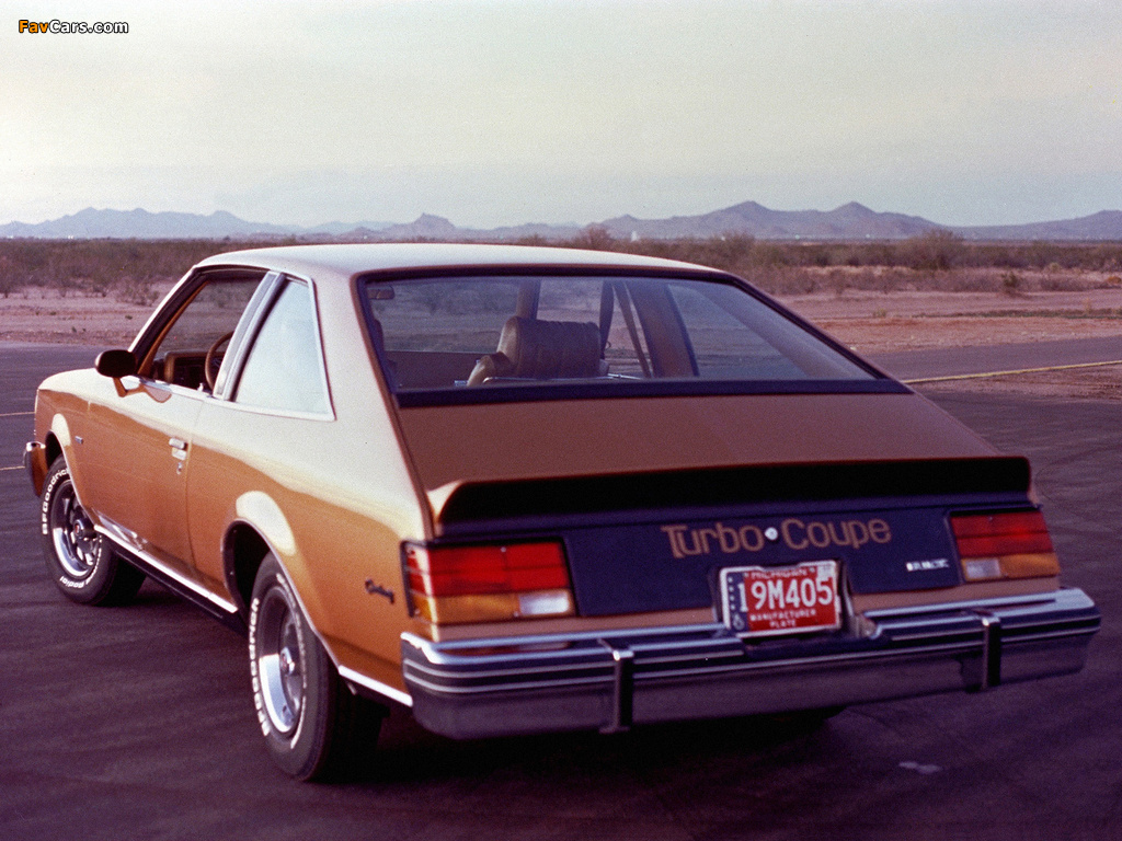 Photos of Buick Century Turbo Coupe 1979–80 (1024 x 768)