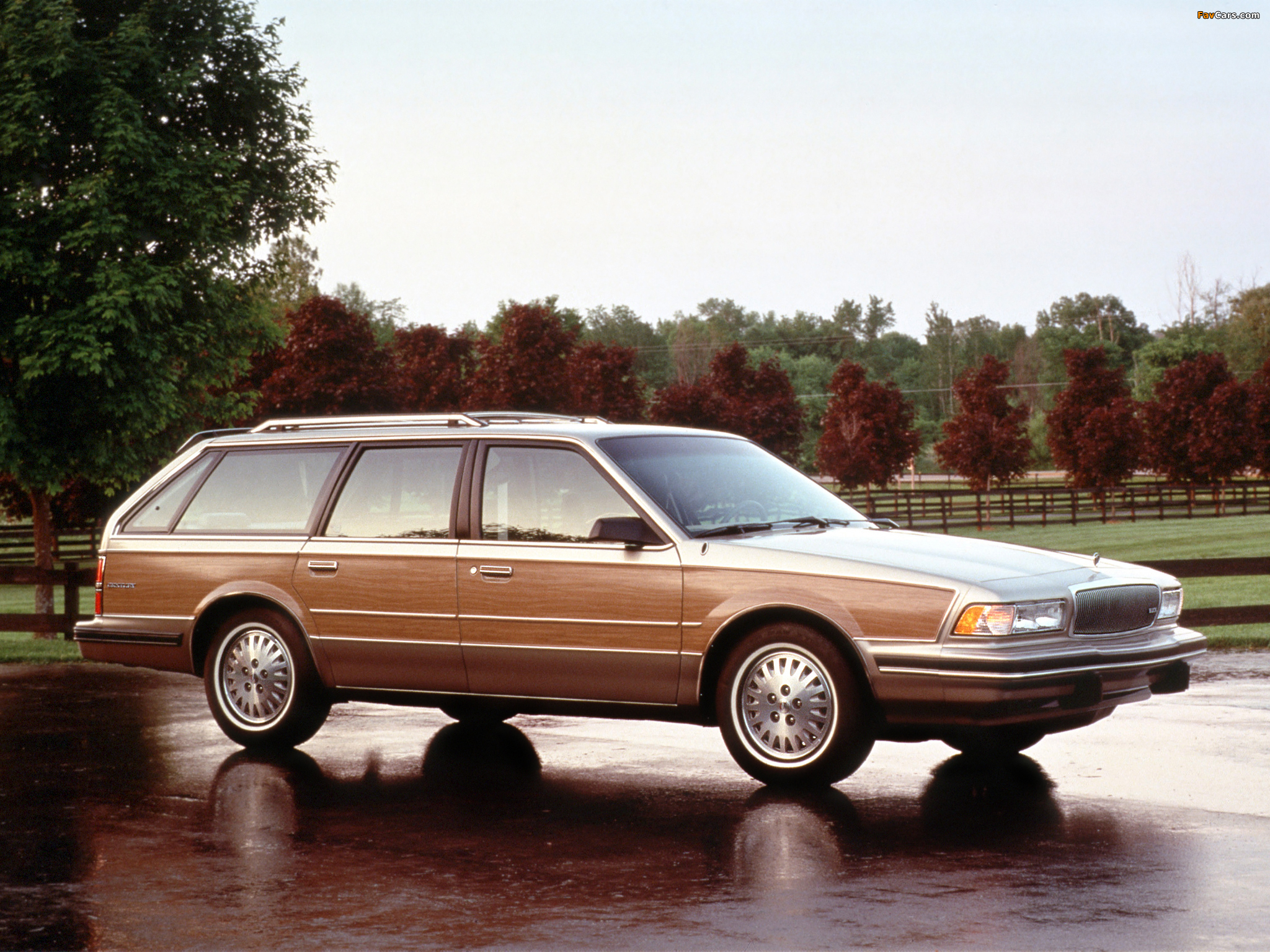 Pictures of Buick Century Estate Wagon 1989–96 (2048 x 1536)