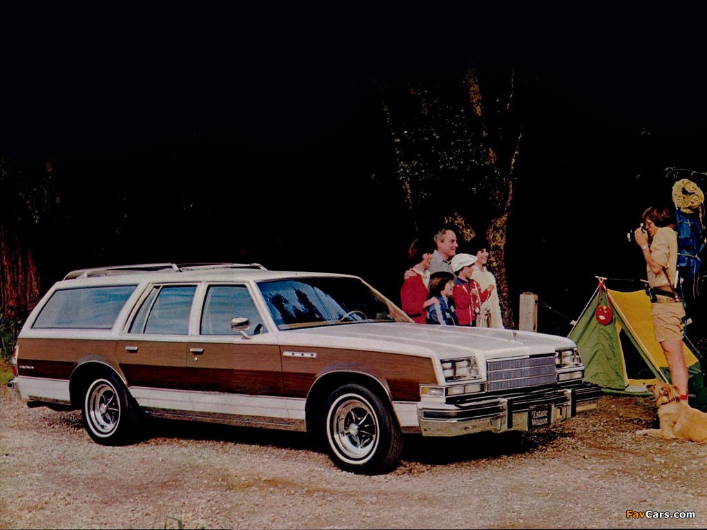 Buick Estate Wagon (4BR35) 1979 images (1024 x 768)