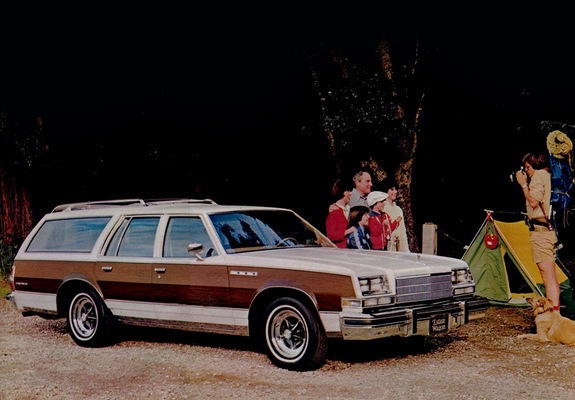 Buick Estate Wagon (4BR35) 1979 images