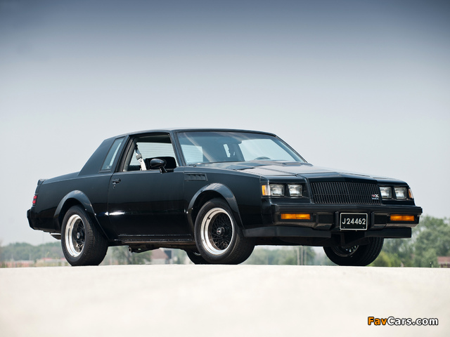 Images of Buick GNX 1987 (640 x 480)