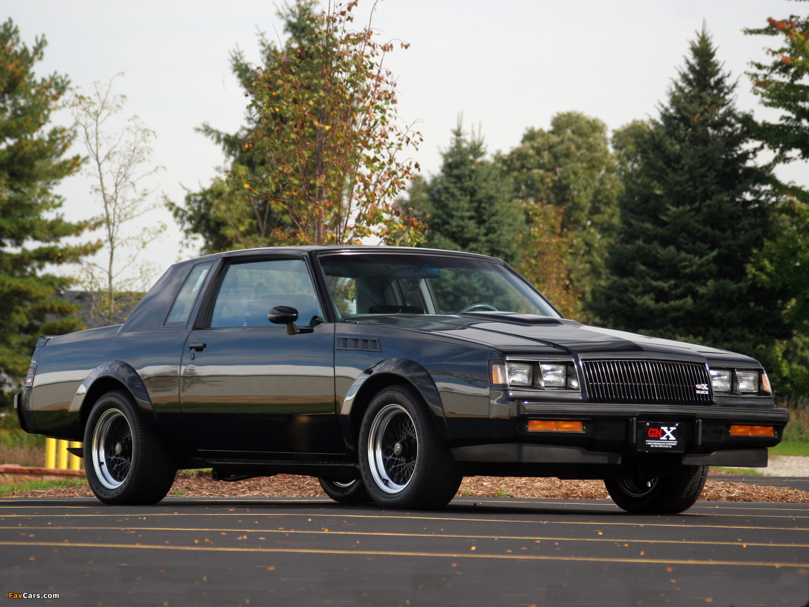 Images of Buick GNX 1987 (1600 x 1200)