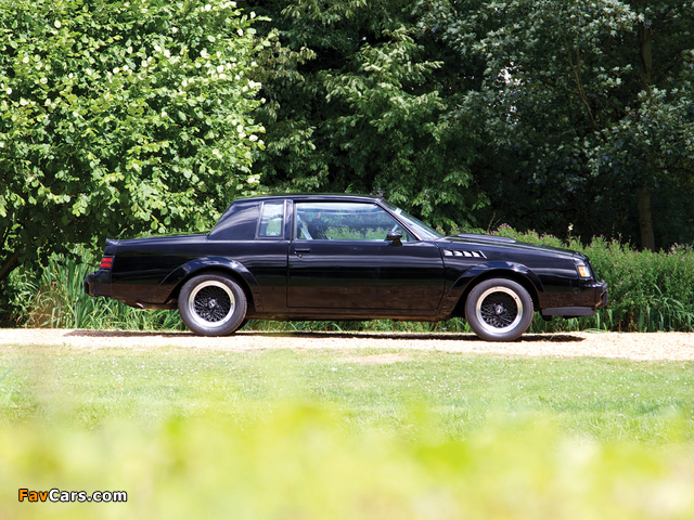 Buick GNX 1987 wallpapers (640 x 480)