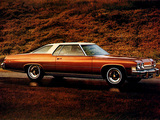 Buick LeSabre Luxus Hardtop Coupe 1974 photos