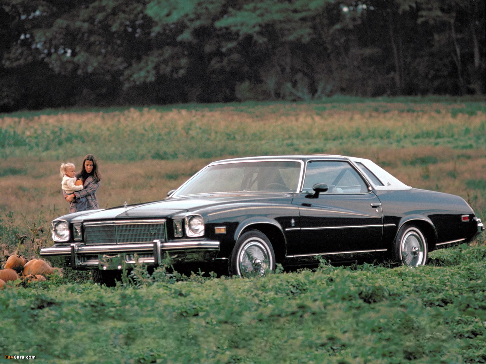 Buick Regal Colonnade Hardtop Coupe 1975 pictures (1600 x 1200)