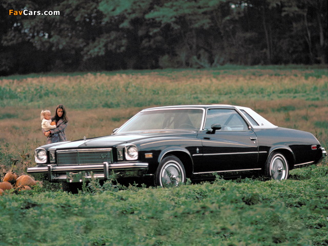 Buick Regal Colonnade Hardtop Coupe 1975 pictures (640 x 480)