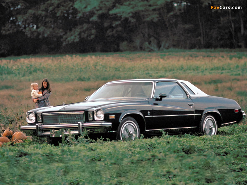 Buick Regal Colonnade Hardtop Coupe 1975 pictures (800 x 600)