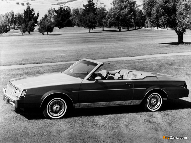 Buick Regal Tiara Convertible by Classic Group 1982 pictures (800 x 600)