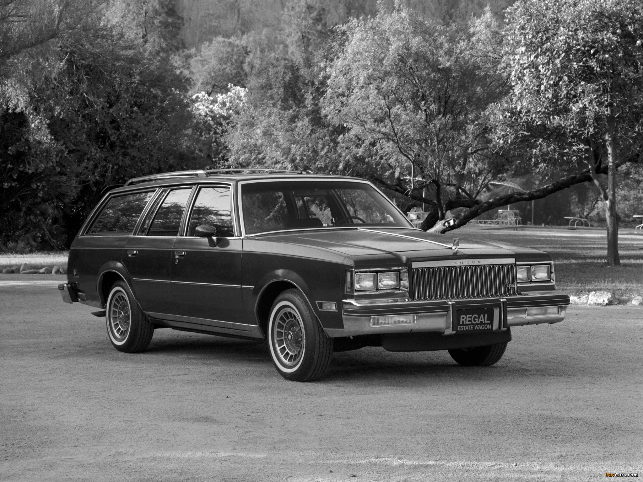 Buick Regal Estate Wagon 1983 photos (2048 x 1536)