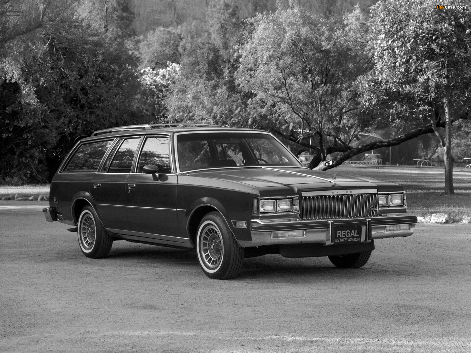 Buick Regal Estate Wagon 1983 photos (1600 x 1200)