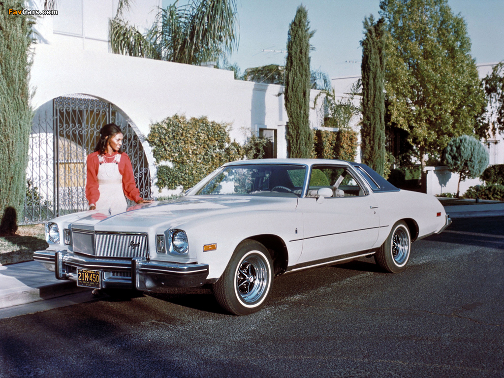 Photos of Buick Regal Colonnade Hardtop Coupe 1975 (1024 x 768)