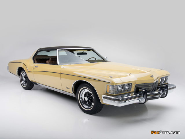 Buick Riviera (4EY87) 1973 images (640 x 480)
