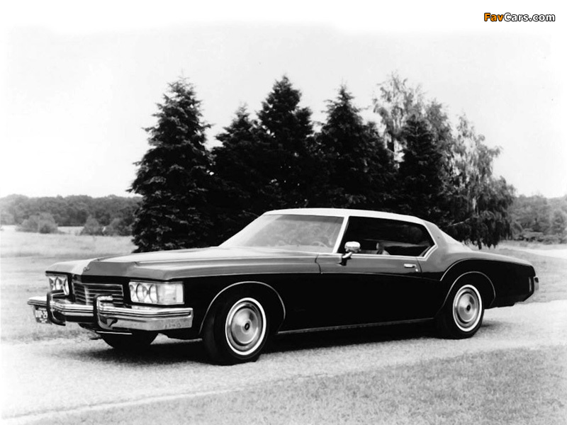 Buick Riviera (4EY87) 1973 pictures (800 x 600)