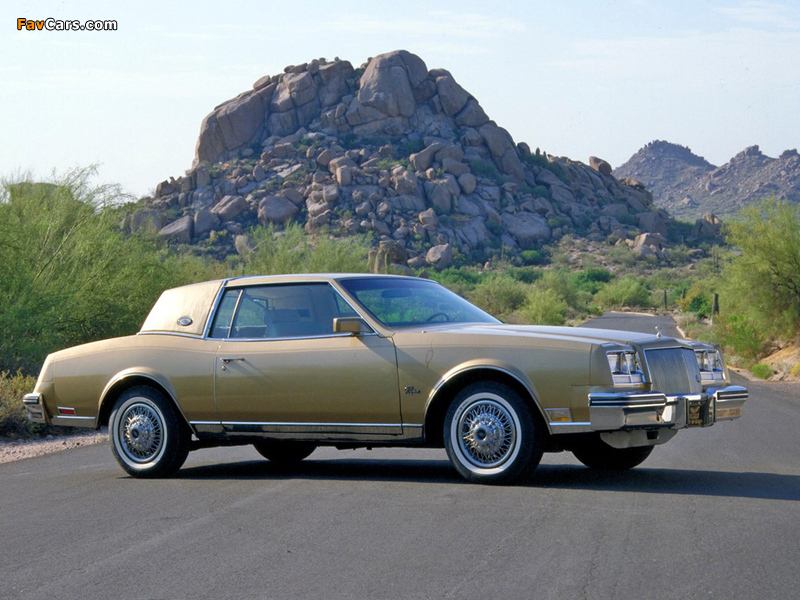 Images of Buick Riviera 1980–85 (800 x 600)