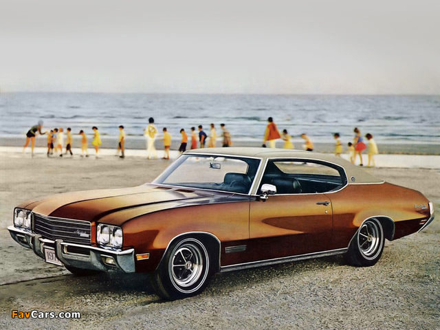 Buick Skylark Custom Sport Coupe 1971 pictures (640 x 480)
