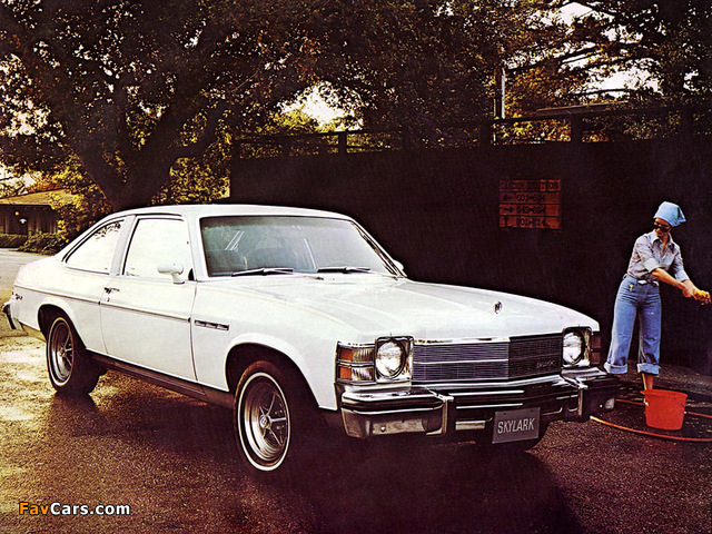 Buick Skylark Coupe 1975–79 pictures (640 x 480)