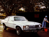 Images of Buick Skylark S/R Coupe 1976