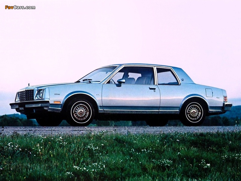 Images of Buick Skylark Coupe 1980–85 (800 x 600)