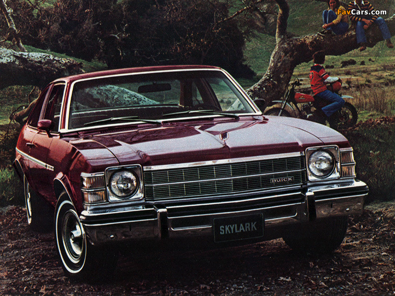 Photos of Buick Skylark Coupe 1975–79 (800 x 600)