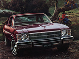 Photos of Buick Skylark Coupe 1975–79