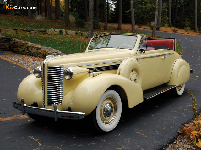 Buick Special Convertible Coupe (38-46C) 1938 images (640 x 480)