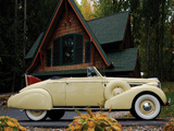 Buick Special Convertible Coupe (38-46C) 1938 pictures